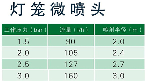 灯笼.JPG
