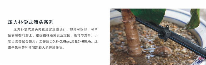 滴灌溉.JPG