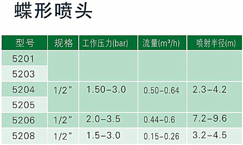 蝶型.JPG